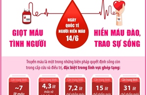 Ngày Quốc tế Người hiến máu 14/6: Giọt máu tình người - Hiến máu đào, trao sự sống