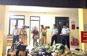 Thu giữ hơn 400kg xúc xích, há cảo, thịt viên không rõ nguồn gốc