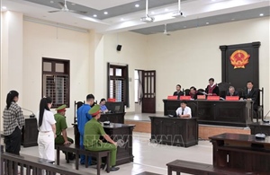 Lập 20 gian hàng để tạo đơn ‘ảo’ bán thực phẩm giả, 3 bị cáo lĩnh 46 năm tù