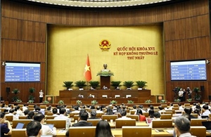 Thông cáo báo chí số 16, Kỳ họp không thường lệ thứ Nhất, Quốc hội khóa XVI