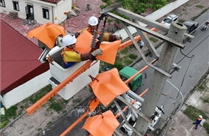 Chưa ghi nhận sự cố lưới điện cao áp do bão số 4