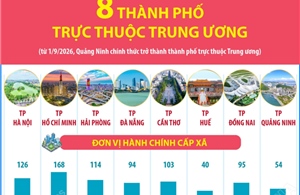 Thông tin về 8 thành phố trực thuộc Trung ương