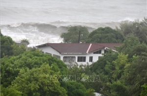 Tình hình bão Đại Tây Dương năm nay sẽ ra sao khi chịu tác động lớn từ El Nino?