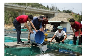 Agribank Bình Định: Điểm tựa tài chính vững vàng nơi đầu sóng