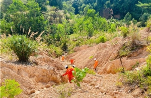 Công ty Thủy điện Đồng Nai chủ động ứng phó với mùa mưa bão