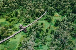 Rừng tràm Trà Sư: Câu chuyện ngàn năm và sau này vẫn thế