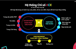 Bí quyết bứt phá nhờ ứng dụng thành công Hệ thống chỉ số ACE 