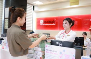 SeABank lãi trước thuế 6.039 tỷ đồng năm 2024