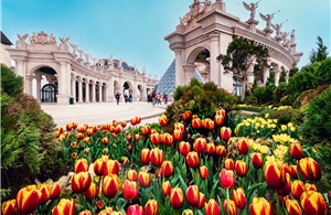 Hàng nghìn du khách choáng ngợp với biển hoa tulip trên đỉnh Bà Nà dịp Tết 2026