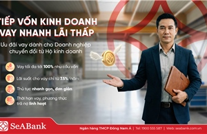 Nghịch lý 'lính mới': Kinh doanh nhiều năm vẫn khó vay vốn sau khi chuyển đổi doanh nghiệp