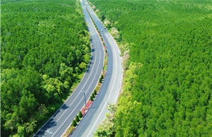 Hơn 5.000 vận động viên tham gia Vnexpress Marathon Green Paradise Cần Giờ