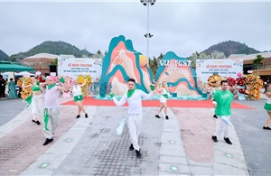 Vui-Fest Cát Bà phiên bản 2026 hoạt động cả ngày lẫn đêm có gì 'hot'?