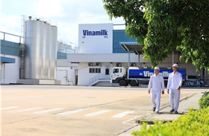 Ba năm liền góp mặt trong Fortune SEA 500: Vinamilk khẳng định vị thế thương hiệu sữa Việt