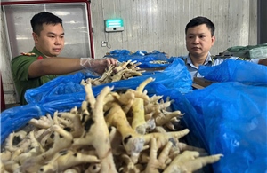 Phát hiện 260 tấn chân gà quá hạn chất đầy kho lạnh ở Hà Nội
