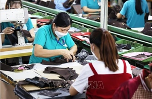 Thành phố Hồ Chí Minh: Còn nhiều tồn tại trong hoạt động cho thuê lại lao động 