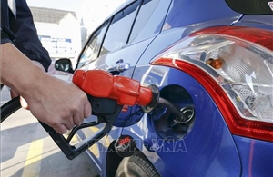 Cú sốc giá nhiên liệu đẩy lạm phát tại Nam Phi chạm mốc lên 5%