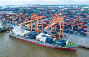 Sản lượng container thông qua cảng Việt Nam duy trì đà tăng