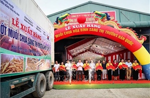 Hòa Bình: Xuất khẩu 7,5 tấn ớt muối chua sang Hàn Quốc