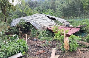Yên Bái: 150 ngôi nhà bị thiệt hại và 2 người bị thương do dông lốc