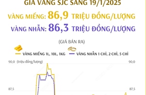 Giá vàng SJC sáng 19/1: Giá bán ra 86,9 triệu đồng/lượng