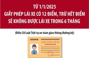 Từ 1/1/2025: Giấy phép lái xe có 12 điểm, trừ hết điểm sẽ không được lái xe trong 6 tháng