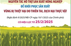 Nguyên tắc hỗ trợ sản xuất nông nghiệp để khôi phục sản xuất vùng bị thiệt hại do thiên tai, dịch hại thực vật