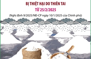 Mức hỗ trợ đối với sản xuất muối bị thiệt hại do thiên tai từ 25/2/2025