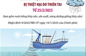 Mức hỗ trợ đối với thủy sản bị thiệt hại do thiên tai từ 25/2/2025