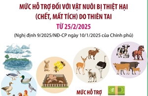 Mức hỗ trợ đối với vật nuôi bị thiệt hại (chết, mất tích) do thiên tai từ 25/2/2025