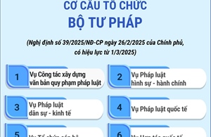 Cơ cấu tổ chức của Bộ Tư pháp