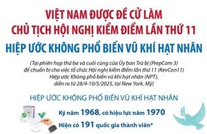 Việt Nam được đề cử làm Chủ tịch Hội nghị kiểm điểm lần thứ 11 Hiệp ước Không phổ biến vũ khí hạt nhân