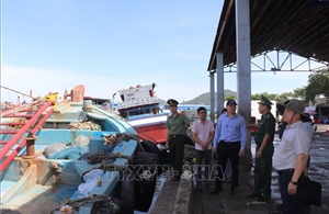 TP Hồ Chí Minh siết chặt quản lý tàu cá không đủ điều kiện ra khơi