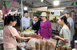 Để kinh tế tư nhân thành đòn bẩy cho đất '9 Rồng'