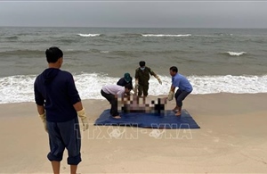 Tìm thấy thi thể du khách mất tích khi đi tắm biển Nhật Lệ