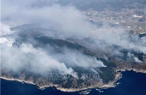 Nhật Bản sơ tán hơn 3.200 người do cháy rừng