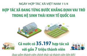 Hợp tác xã đang từng bước khẳng định vai trò trong hệ sinh thái kinh tế quốc gia