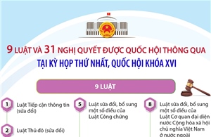 Thông tin về 9 luật và 31 nghị quyết được Quốc hội thông qua tại Kỳ họp thứ nhất, Quốc hội khóa XVI