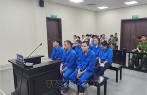 Án phạt nghiêm khắc cho nhóm đối tượng môi giới bán thận