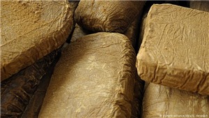 Tây Ban Nha thu giữ gần 400 kg nhựa cần sa từ Maroc