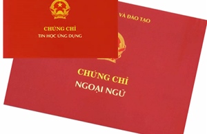 Đại học Huế rà soát việc sử dụng chứng chỉ ngoại ngữ trong xét tuyển chính quy