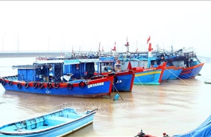 Quảng Bình: Khắc phục sự cố mất kết nối thiết bị giám sát hành trình tàu cá