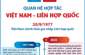 Quan hệ hợp tác Việt Nam - Liên hợp quốc