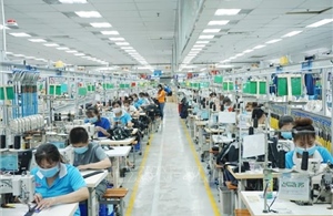 Công đoàn giữ mức đề xuất tăng lương tối thiểu vùng ngay từ đầu năm 2027