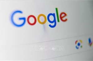 Google đầu tư hơn 20 triệu USD cho các nhà nghiên cứu AI