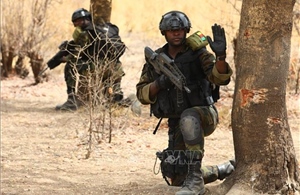 Châu Âu hợp tác thúc đẩy triển khai lực lượng chống khủng bố tại Tây Phi