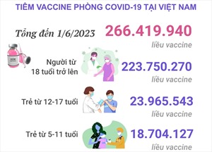 Tình hình tiêm vaccine phòng COVID-19 tại Việt Nam tính đến hết ngày 1/6/2023