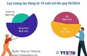 Quý III/2024: Lực lượng lao động tiếp tục tăng