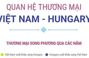 Thương mại song phương Việt Nam - Hungary