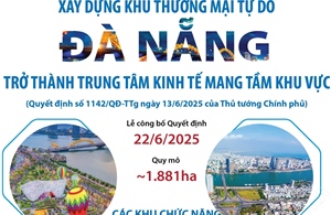 Thông tin về xây dựng Khu thương mại tự do Đà Nẵng
