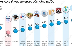 CPI tháng 6/2025 tăng 0,48%